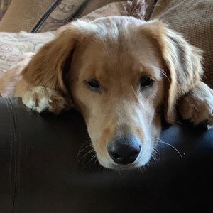 Meet your Posher, Jenn